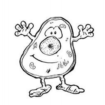 400x400 biology facts on twitter girl show me your cleavage furrow