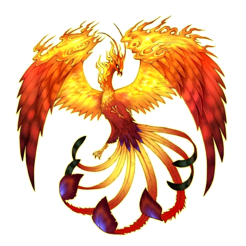 800x800 Phoenix