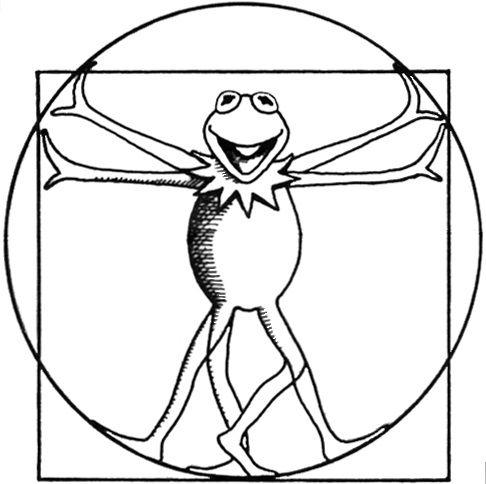486x484 kermit as leonardo da vinci's vitruvian man drawing taken