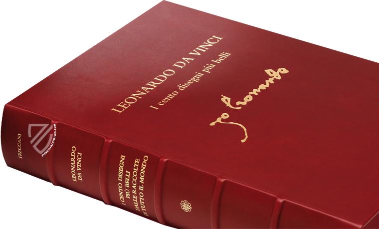 760x459 Leonardo Da Vinci