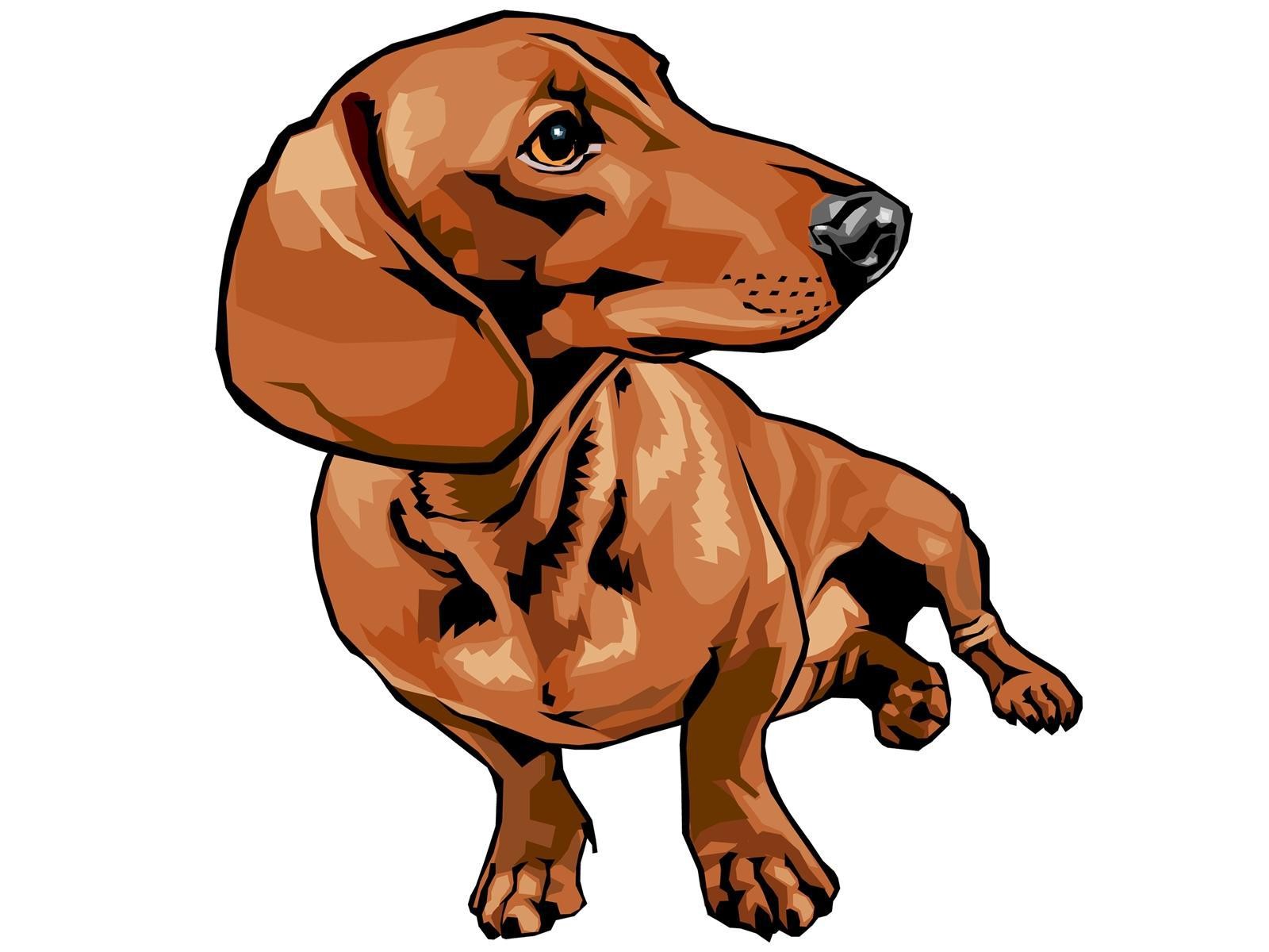 1600x1200 Dachshund Drawing Hd Desktop Wallpaper Widescreen High