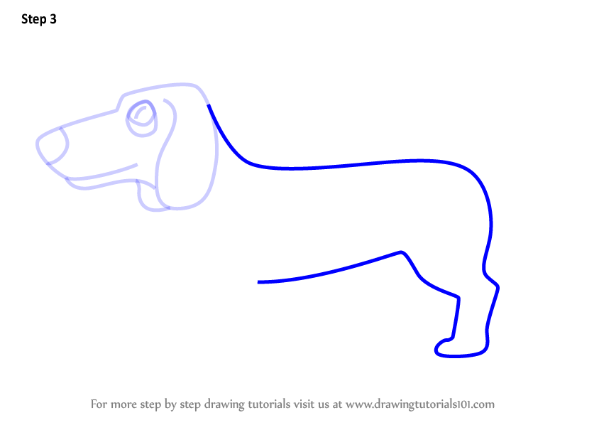 844x598 Learn How To Draw A Cartoon Dachshund Dog