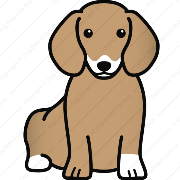 600x600 Collection Of Free Dachshund Drawing Cartoon Download On Ui Ex