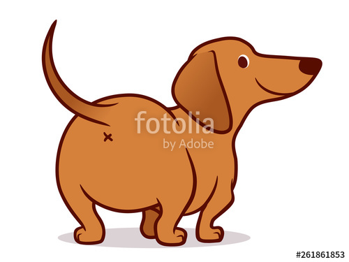 500x375 Cute Dachshund Sausage Dog Vector Cartoon Illustration Isolated