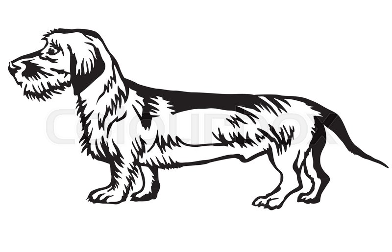 800x515 Decorative Portrait Of Standing In Stock Vector Colourbox