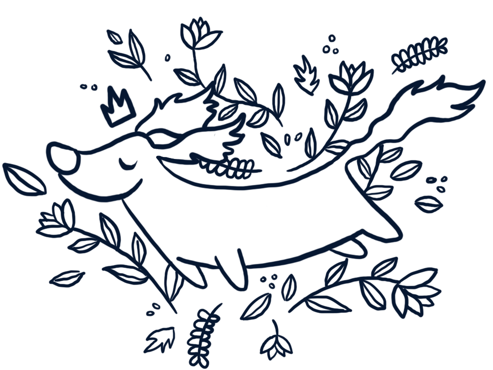 1010x759 The Flying Dachshund