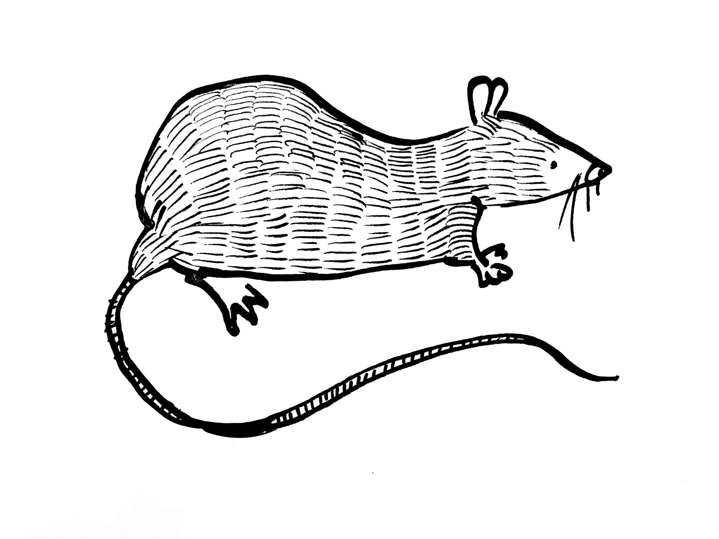 2500x1875 Rows With Teenagers Pt Jo Cockwell