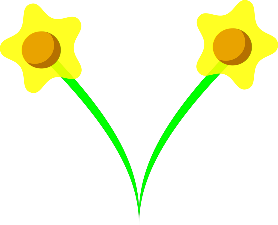 Daffodil Botanical Drawing