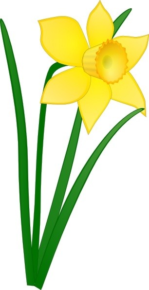 306x596 Daffodil Flower Clip Art
