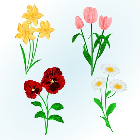 450x450 Spring Flowers Daffodilspansies,tulips And Daisies Vintage Hand