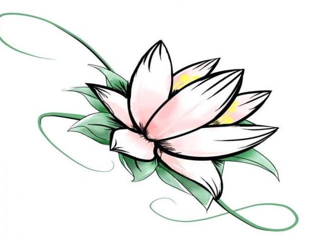 640x480 Daffodil Clipart Bulb Free Clip Art Stock Illustrations