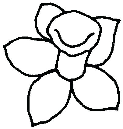 404x424 Daffodil Outline Colouring