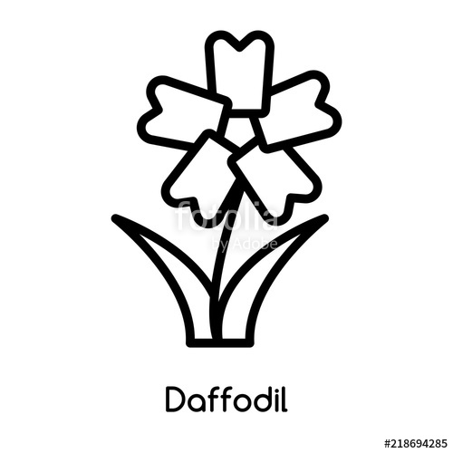 500x500 daffodil icon vector isolated on white background, daffodil sign