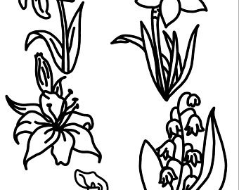 340x270 Hand Drawn Daffodil Etsy