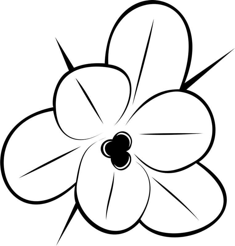 763x800 Huge Collection Of 'outline Drawing Of Flowers' Download More
