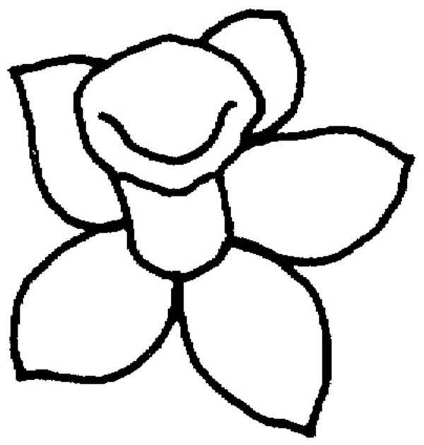 600x630 daffodil, daffodil outline coloring