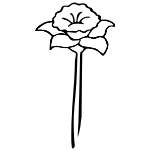 300x300 Daffodil Flower Sticker