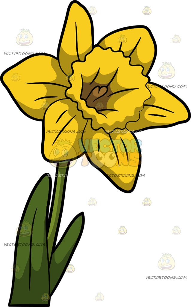 638x1024 Daffodil Big Flower Fun Pics Images