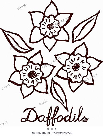 430x569 Watercolor Abstract Daffodils