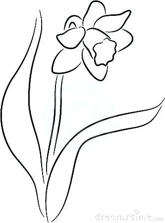 333x450 Collection Of Daffodil Line Drawing Download Them And Try To Solve