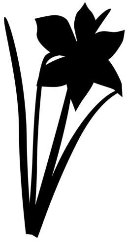 260x500 Daffodil, Graphics, Flower, Transparent Png Image Clipart Free
