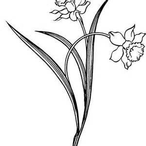 300x300 Daffodil Template Printable Large