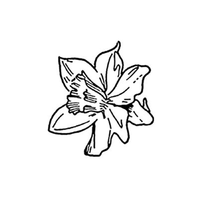400x400 The English Stamp Company Mini Daffodil Head