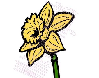 340x270 Daffodil Drawing Etsy