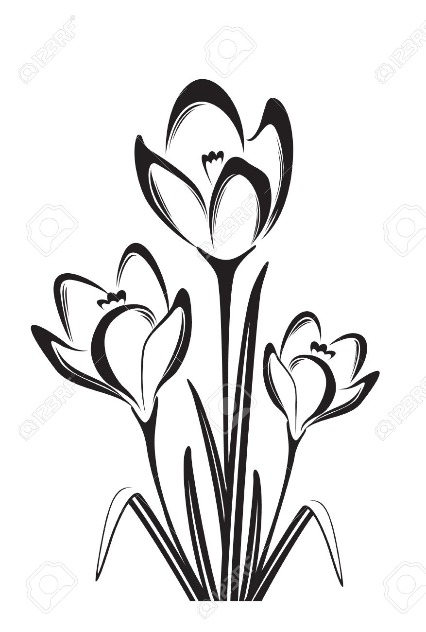 877x1300 spring flower drawing spring flower drawing at getdrawings free