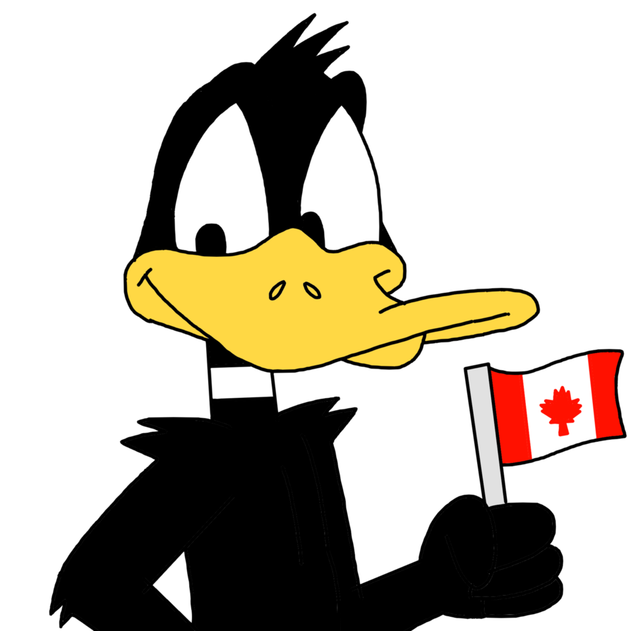 894x894 Duck, Cartoon, Drawing, Transparent Png Image Clipart Free Download