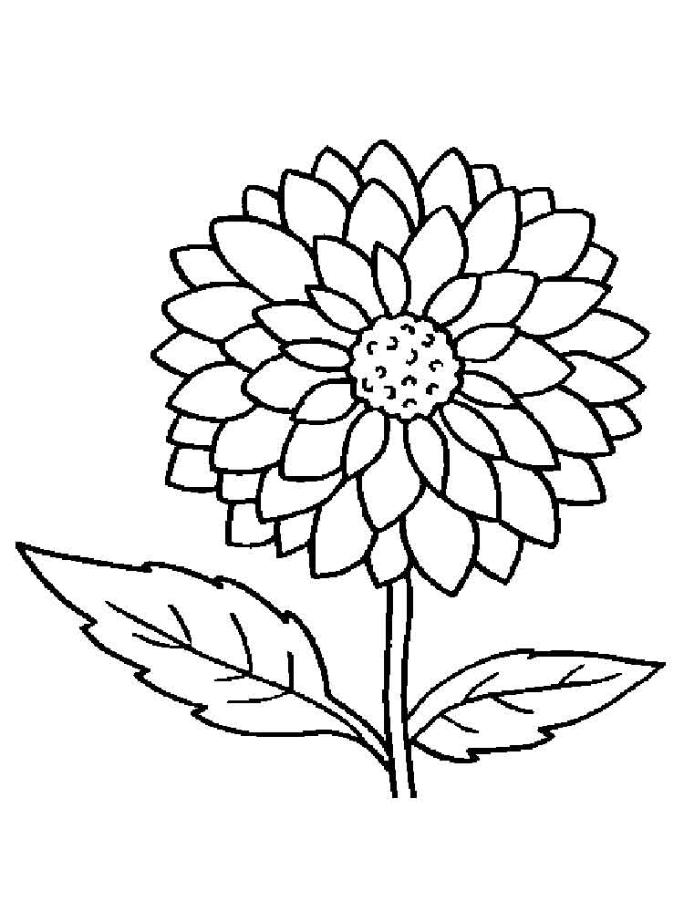 750x1000 Free Printable Dahlia Coloring Pages For Kids