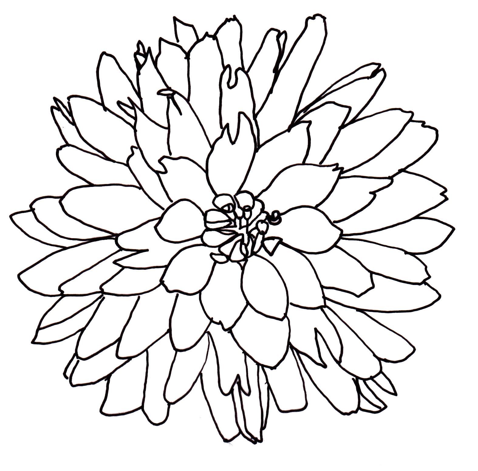 1574x1552 Clip Art Flowers Flower Line Drawings