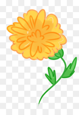 260x380 Dahlia Watercolor Png