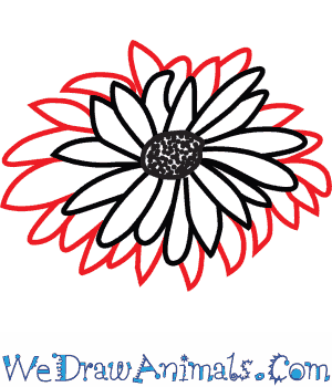 300x350 How To Draw A Dahlia Flower