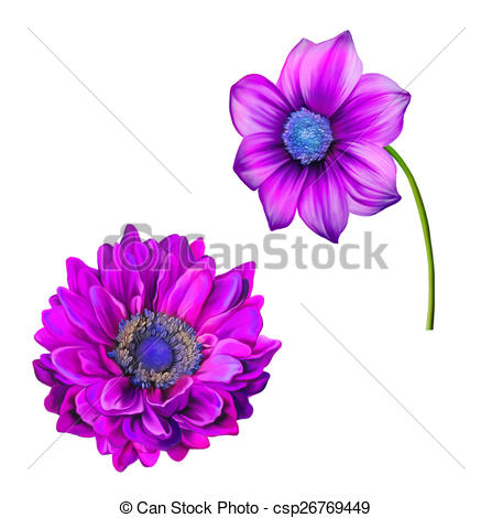 447x470 Illustration Of Bright Colorful Dahlia Flower, Spring Drawing