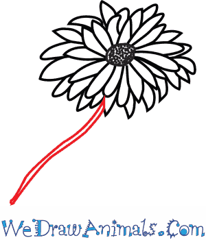 300x350 How To Draw A Dahlia Flower