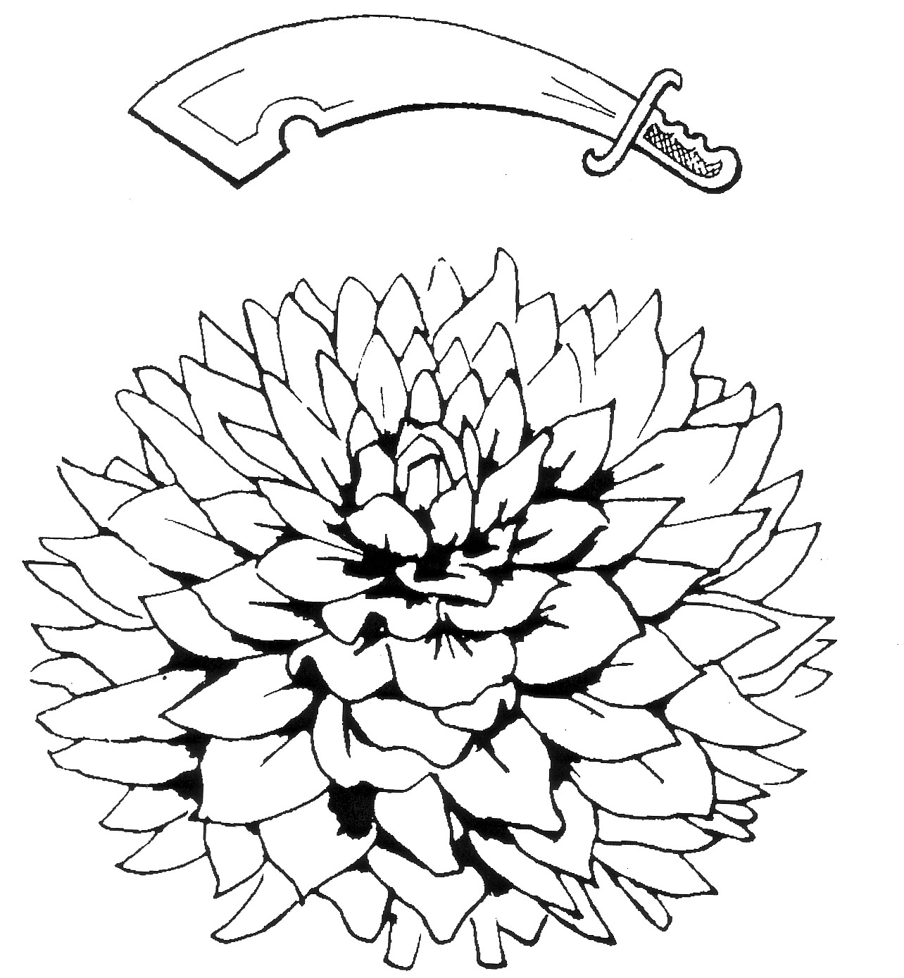 1284x1388 Clear Logo