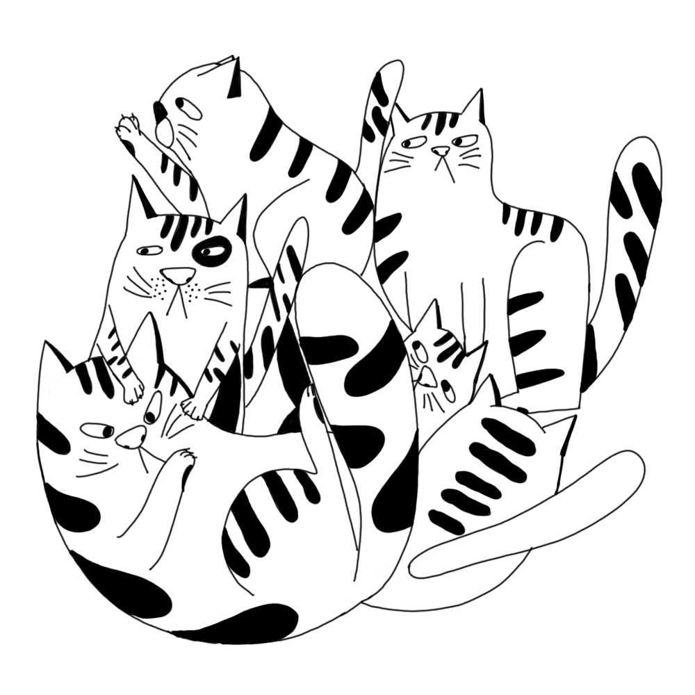 1000x1000 Daily Drawing Dandan