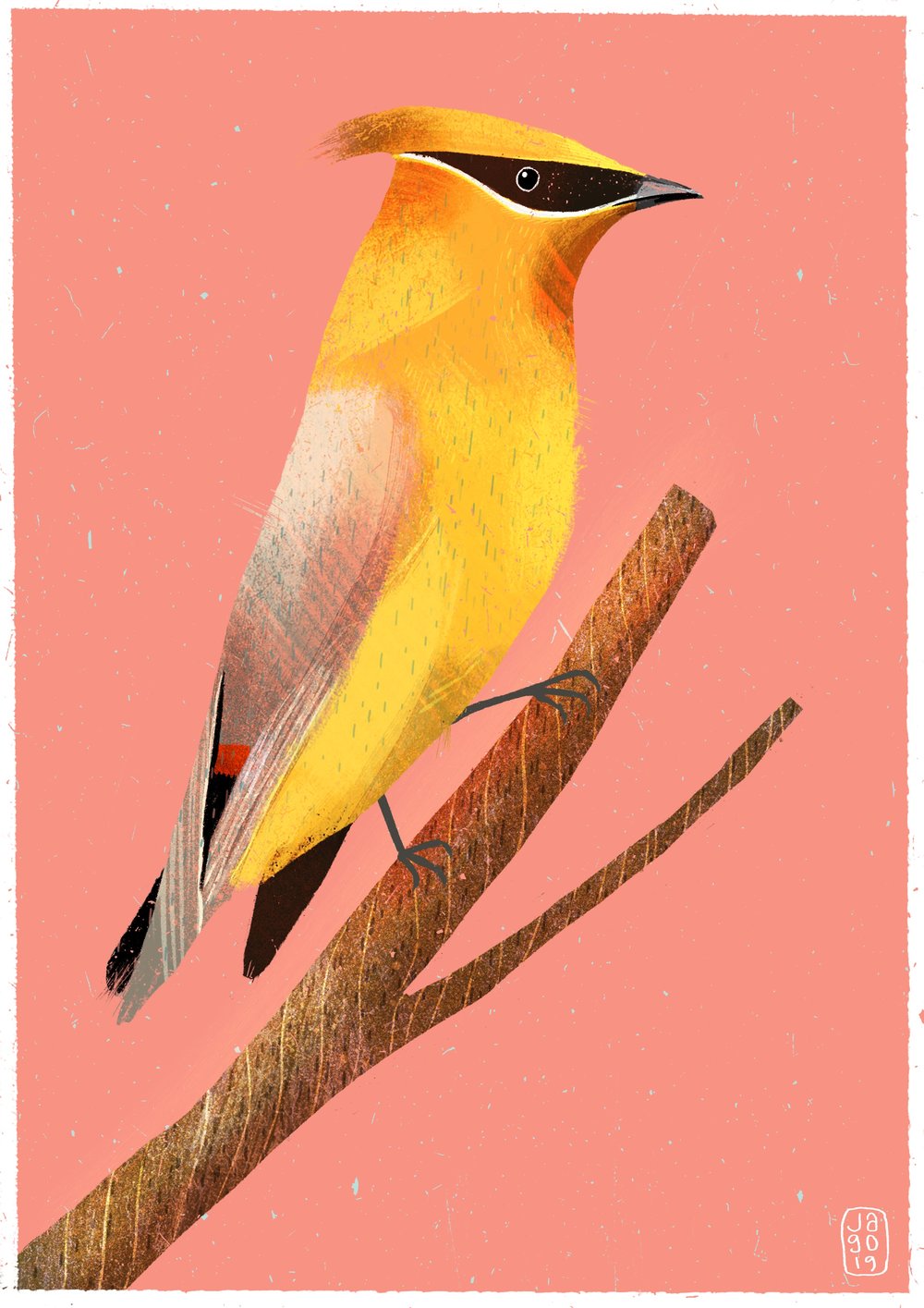 1000x1415 Day Of Winter Birds Daily Drawing Challenge Jago Illustration