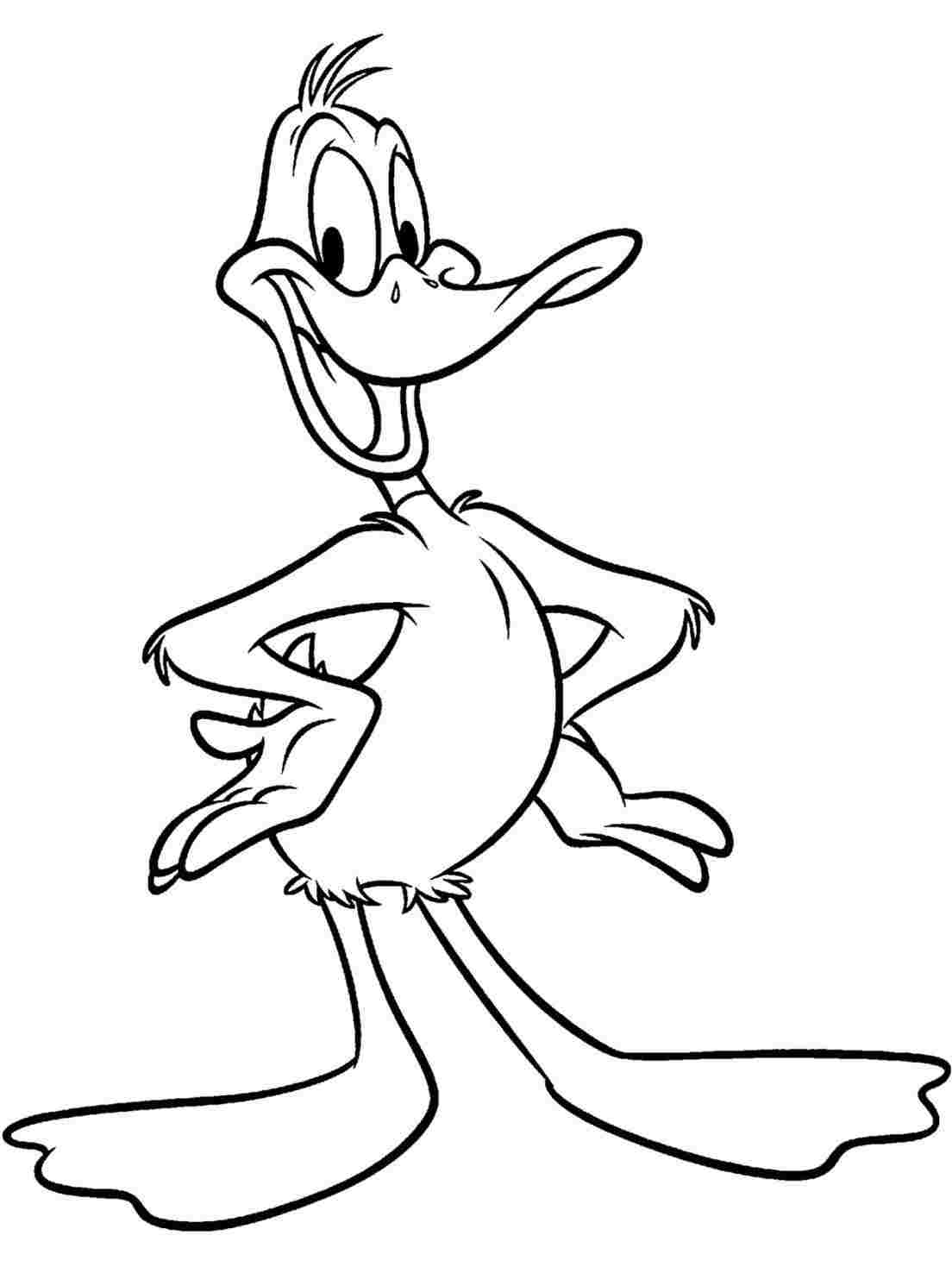 1104x1469 Draw A Duck Daily Drawingrhdailydrawingco Daffy Stepbystep Drawing