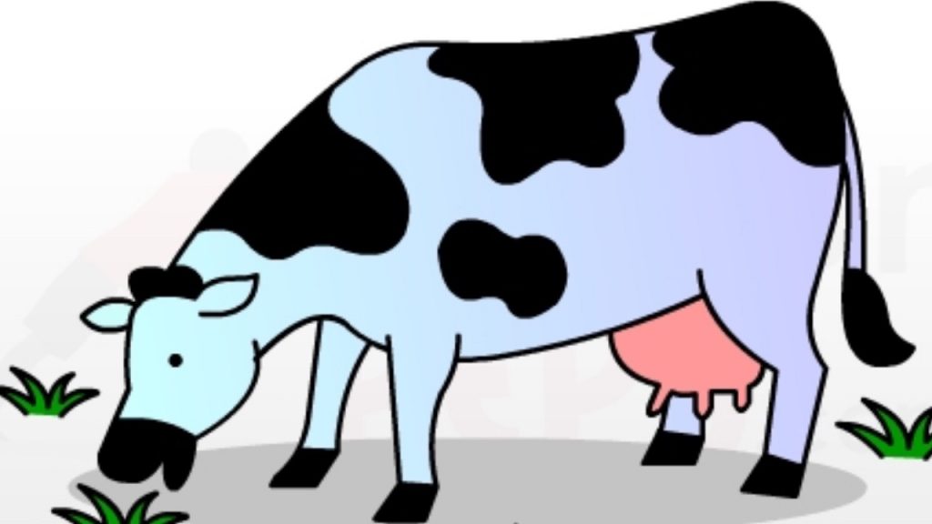 1024x576 cow pictures for kids cow drawings for kids coloring kids