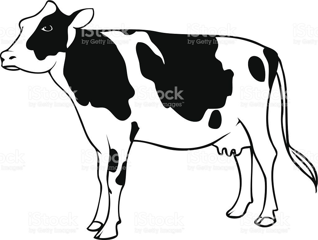 1024x773 Dairy Cow Line Drawing In Adornar Cuarto De Minnie