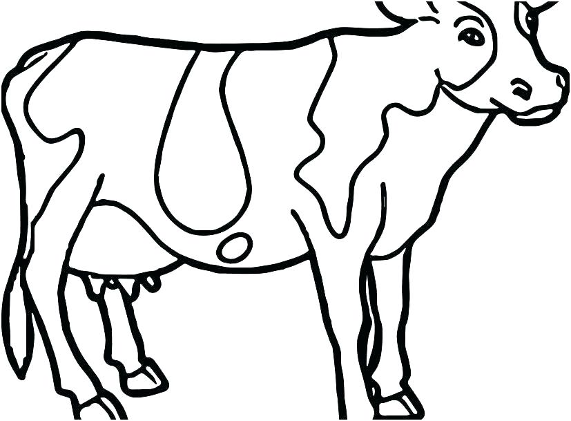 Dairy Cow Drawing | Free download on ClipArtMag