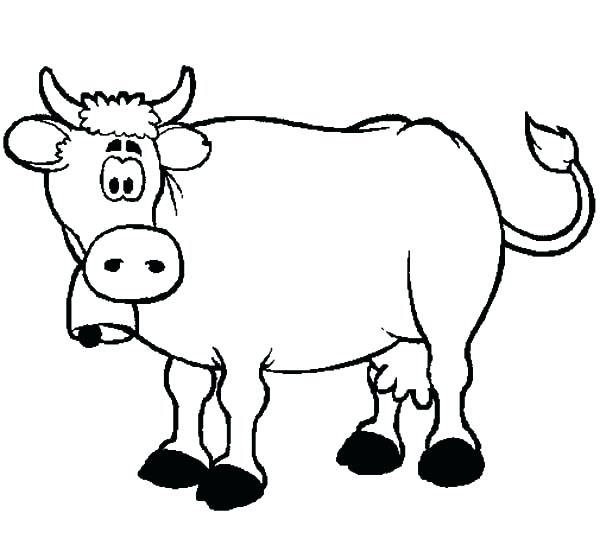600x558 Dairy Cows Coloring Pages