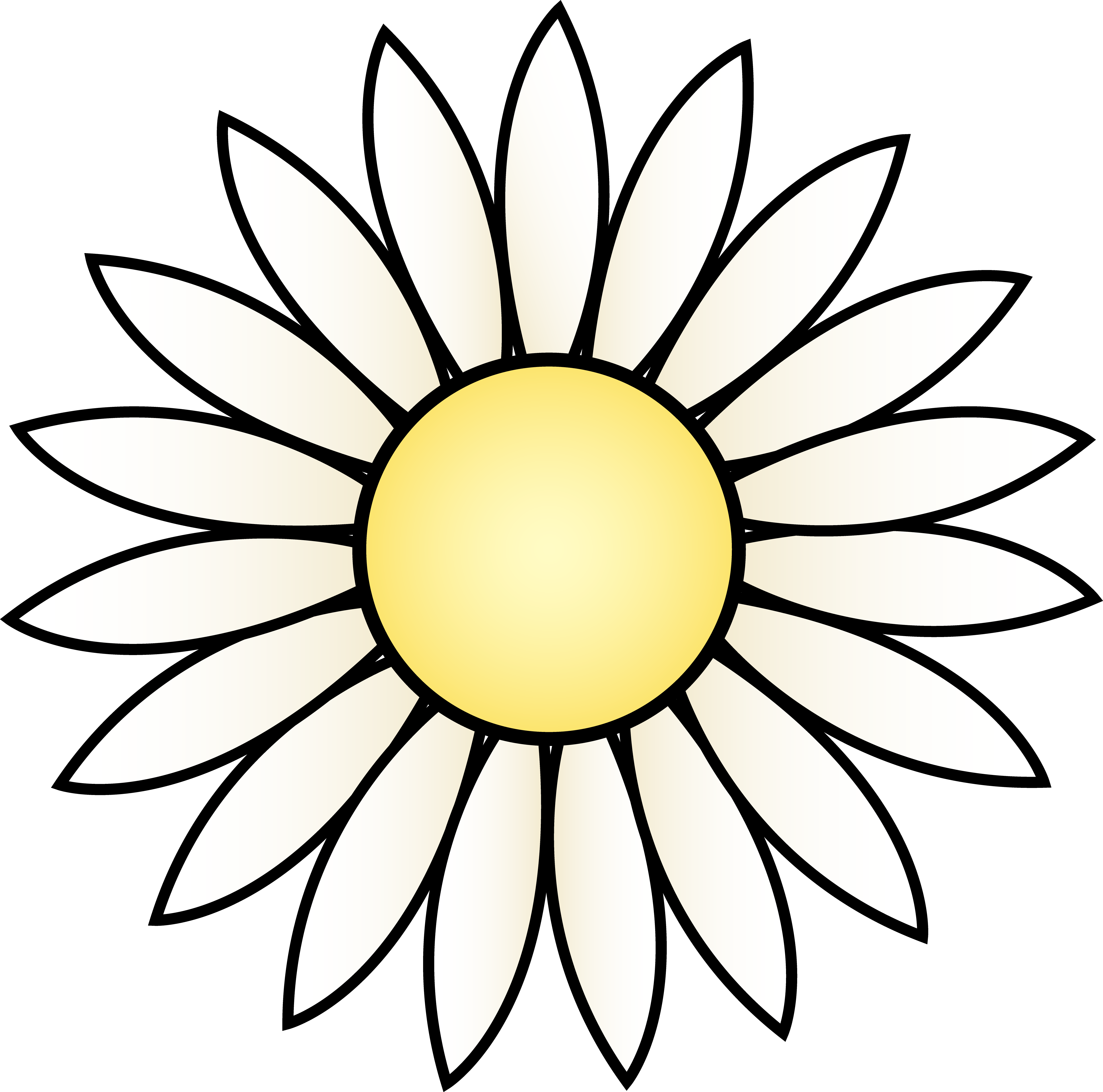 4948x4901 Collection Of Free Daisies Drawing Daisy Flower Download On Ui Ex