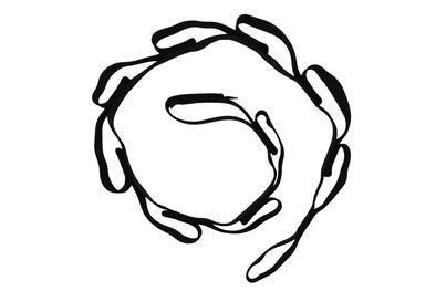 394x263 Daisychain Cmi Corporation