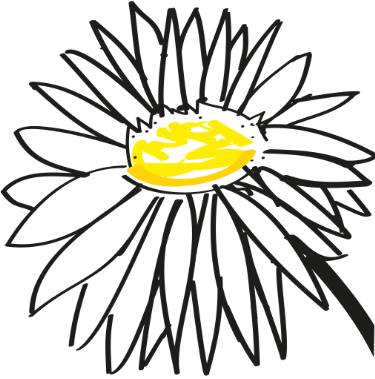 375x379 Daisy Drawing