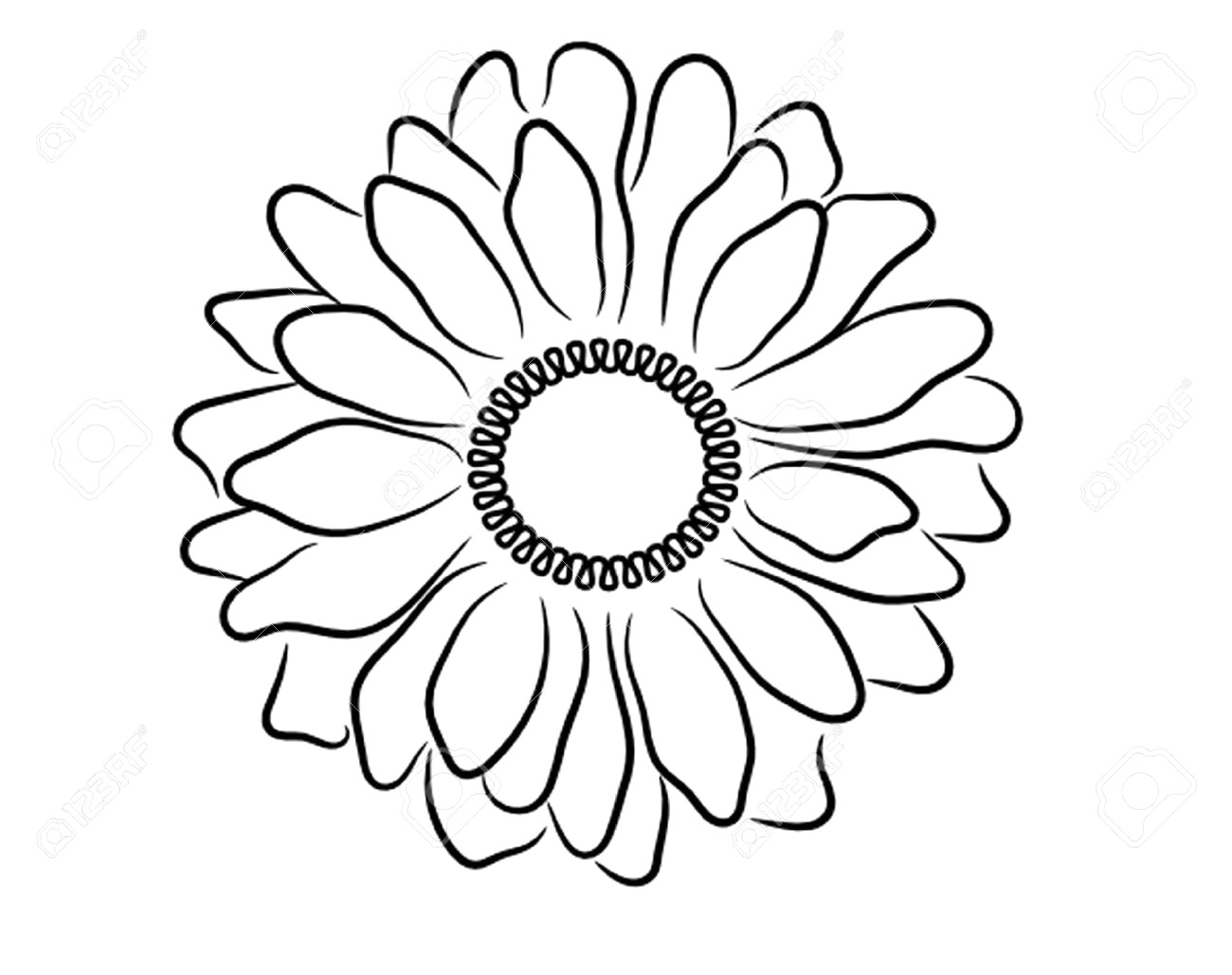 1300x1029 Drawing Of A Daisy Flower Sketch Library Throughout Outline