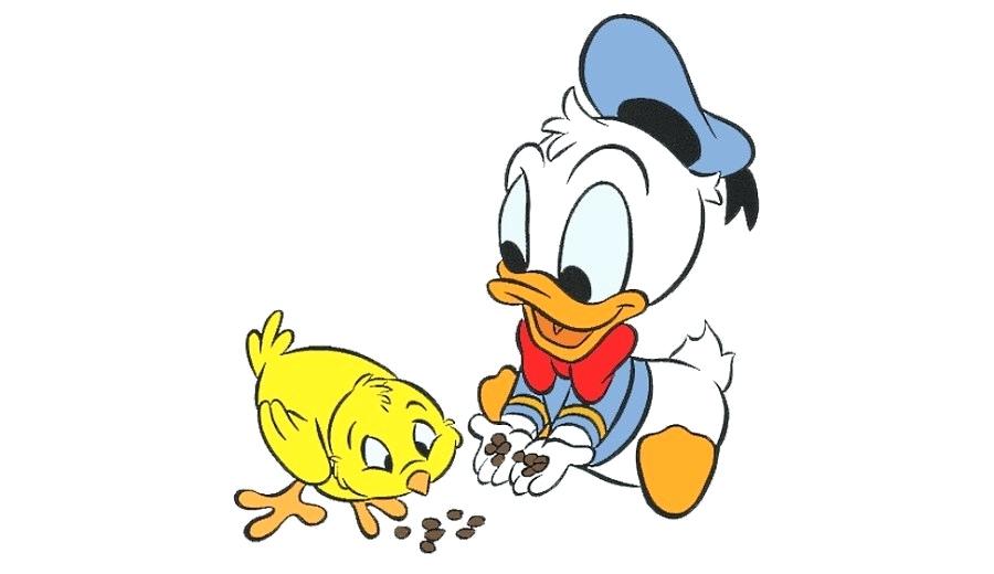 900x520 drawing of daisy duck cookie consent daisy duck drawing step