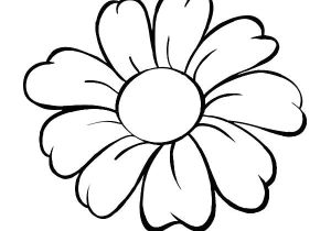 300x210 Easy Drawing Of Daisy Flower How To Draw A Realistic Daisy